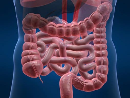 Hypnotherapy For Irritable Bowel Syndrome
